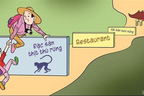 Phỏng vấn con đò