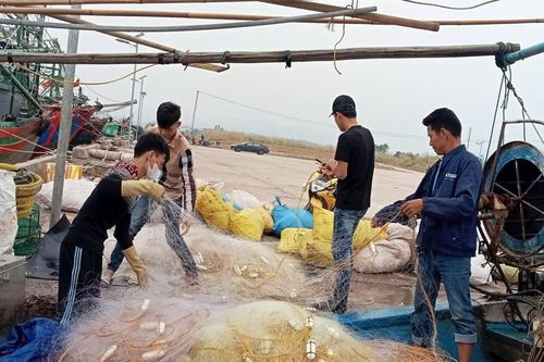 Ngư dân Quảng Ninh: Kỳ vọng mùa biển mới