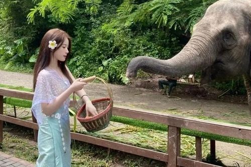 Nhóm khách ASEAN đầu tiên đến Tây Song Bản Nạp không cần thị thực