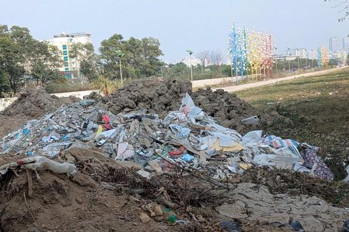 Đầu năm 'trạc tặc' đã tấn công Đại lộ Thăng Long