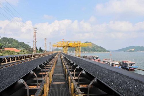 Khí thế lao động những ngày đầu Xuân