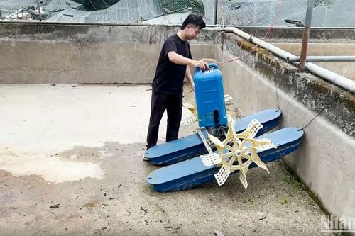 'Thủ phủ' cá nước lạnh tại Lâm Đồng 'khát' nguồn nước nuôi cá