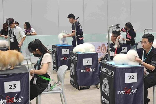 Khai mạc Triển lãm và Lễ hội quốc tế thú cưng 2025