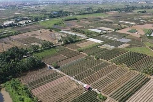 Hà Nội: Sắp đấu giá gần 20.000 m2 đất tại Hà Hồi, Thường Tín