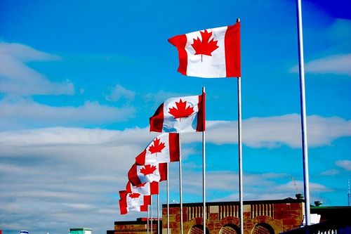Yêu cầu tị nạn của Canada giảm khi quốc gia này cấp ít thị thực hơn