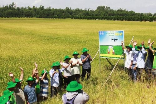PVFCCo đưa công nghệ mới vào sản xuất nông nghiệp