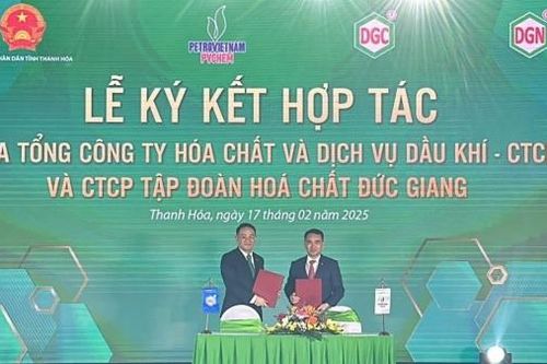 Cơ hội mới cho sự phát triển của PVChem và DGC