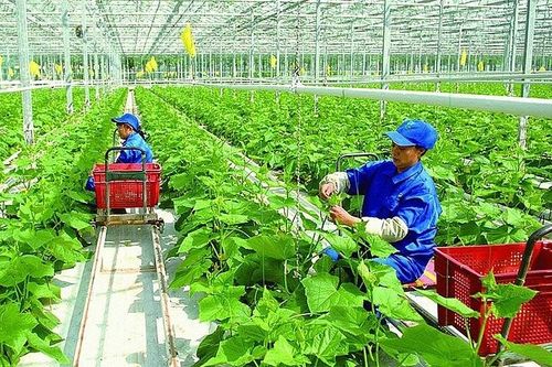 Chuyển đổi xanh: Thách thức của doanh nghiệp trong phát triển bền vững