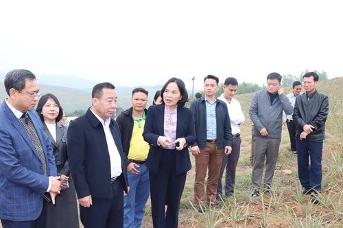 Phó Chủ tịch UBND tỉnh Nguyễn Văn Đệ kiểm tra sản xuất nông nghiệp tại Quỳnh Lưu