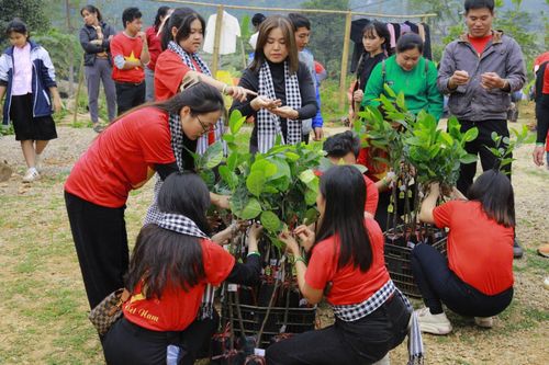 Cộng đồng trẻ say mê lan tỏa các dự án 'xanh'