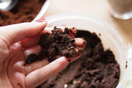 Nắm bã cà phê cho vào tủ lạnh, bất ngờ công dụng 'vàng 10'