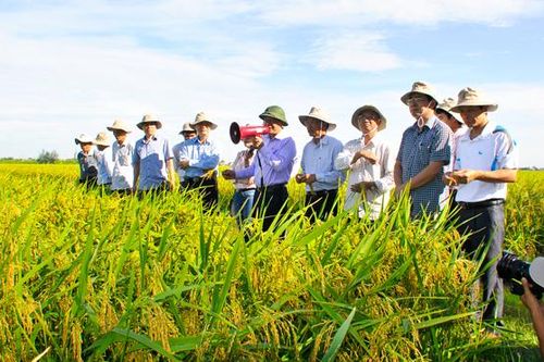 Đẩy mạnh ứng dụng công nghệ thông tin, chuyển đổi số trong khuyến nông