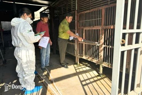 Kiểm tra các trại nuôi nhốt gấu tư nhân tại Đồng Nai