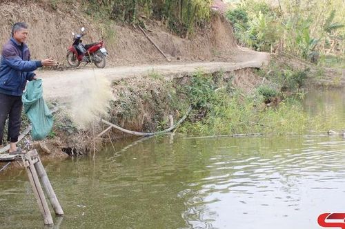 Nông dân sản xuất giỏi