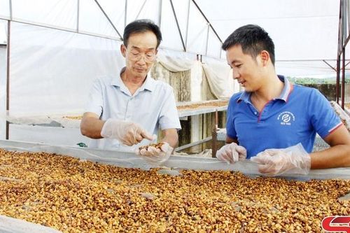Thành phố hỗ trợ các HTX đổi mới phương thức hoạt động