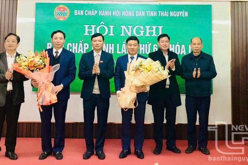 Ông Phạm Văn Sỹ được bầu làm Chủ tịch Hội Nông dân tỉnh Thái Nguyên