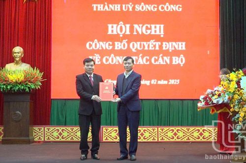 Các huyện, thành phố tổ chức lại bộ máy cơ quan chuyên môn
