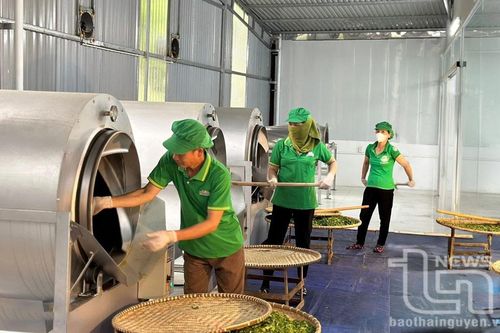 Thái Nguyên: 277 làng nghề, làng nghề truyền thống được công nhận
