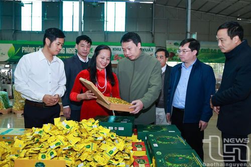 Đại Từ quan tâm phát triển nông nghiệp công nghệ cao gắn với du lịch cộng đồng