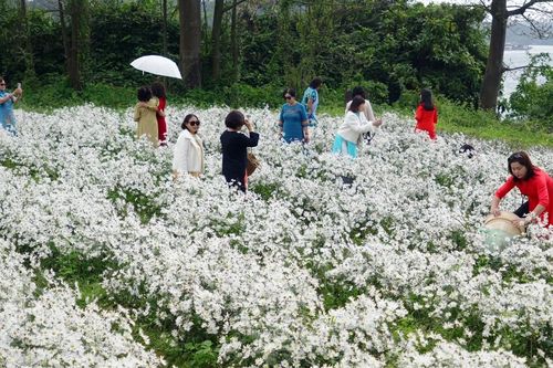Bản tin Văn hóa du lịch ngày 20/2