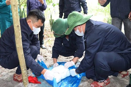 Đội quy tập 192 cất bốc hài cốt liệt sĩ tại thị xã Phong Điền