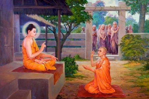 Cuộc đời Tôn giả Ānanda qua kinh tạng Nikāya
