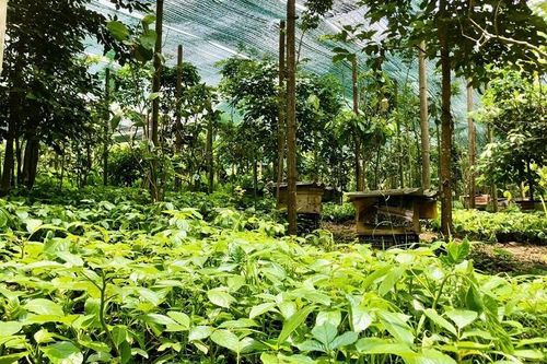 Doanh nghiệp cần cơ chế rõ ràng trong chuyển đổi xanh