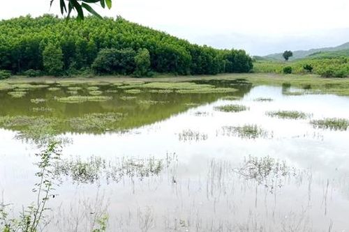 Nam thanh niên hái chanh kịp thời cứu sống hai phụ nữ bị đuối nước