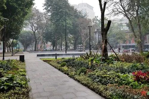 Cải tạo vườn hoa, nâng cao chất lượng cuộc sống