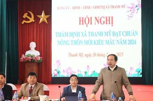 Xã Thanh Mỹ đạt chuẩn nông thôn mới kiểu mẫu trên 4 lĩnh vực