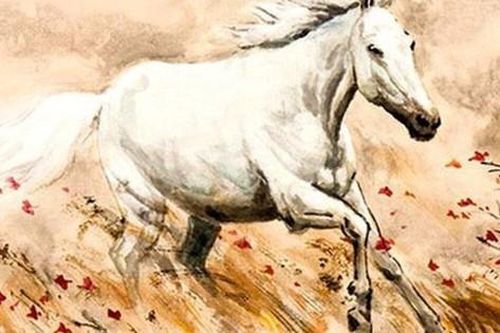 Cách sắp xếp không gian nhà ở mang tới may mắn cho người tuổi Ngọ