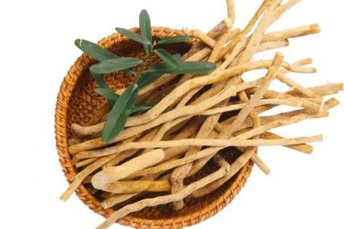 Cách sử dụng xáo tam phân hỗ trợ trị ung thư