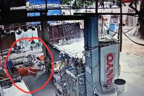 Người phụ nữ cao tuổi đang rửa bát bất ngờ bị một thanh niên đánh gục