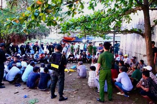 Bắt 75 đối tượng tham gia đá gà ăn tiền