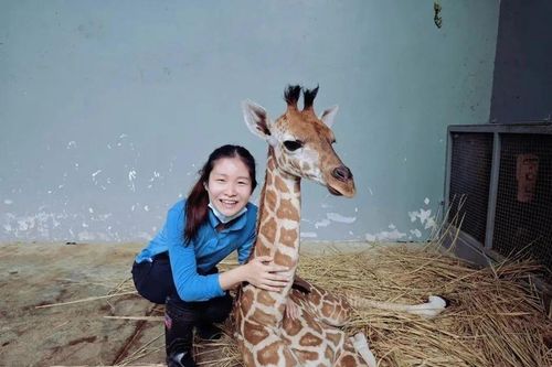 Thạc sĩ Cambridge gây tranh cãi vì vào sở thú dọn phân, chăm động vật
