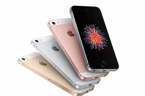iPhone SE, iPhone 14 và 14 Plus bị khai tử