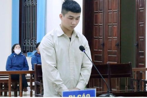 Bắc Giang: tuyên phạt hơn 12 năm tù giam đối tượng trộm cắp tài sản