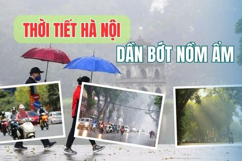Hà Nội mưa rét, trời dần bớt nồm ẩm