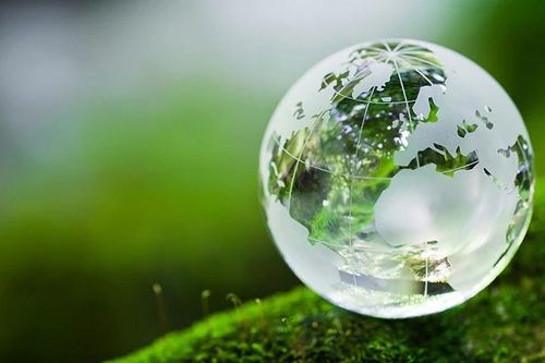 Tăng cường hành động bảo vệ hành tinh xanh