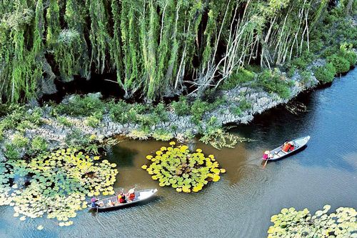 Phát triển du lịch sinh thái rừng bền vững