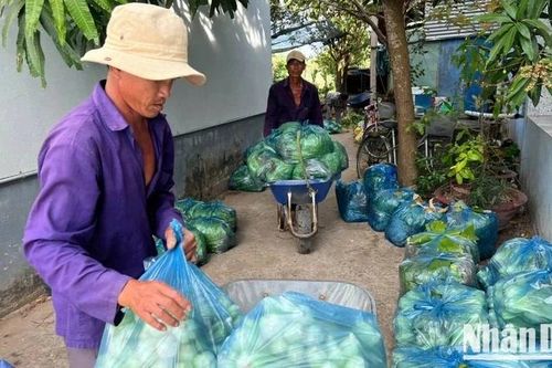 Cần giải pháp căn cơ, đồng bộ