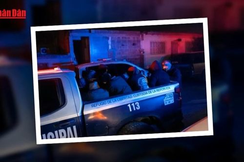 Đại sứ quán Việt Nam tại Mexico hỗ trợ 11 công dân được giải cứu