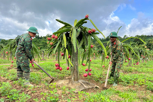 Giúp người dân vùng biên phát triển kinh tế