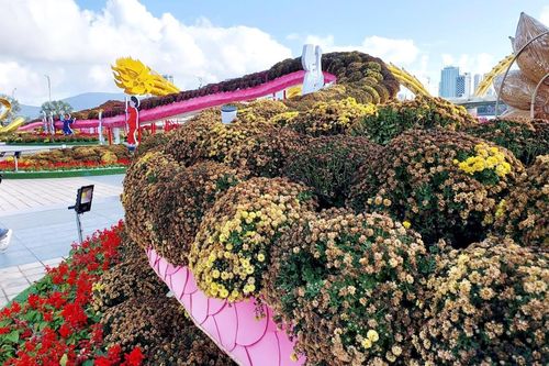 'Hoa xuân lớp lớp rụng vơi đầy'