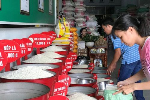 Giá gạo bán lẻ giảm mạnh, người tiêu dùng bớt lo