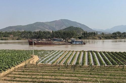 Vi phạm khai thác khoáng sản, Cty Hồng Phát bị phạt 520 triệu đồng