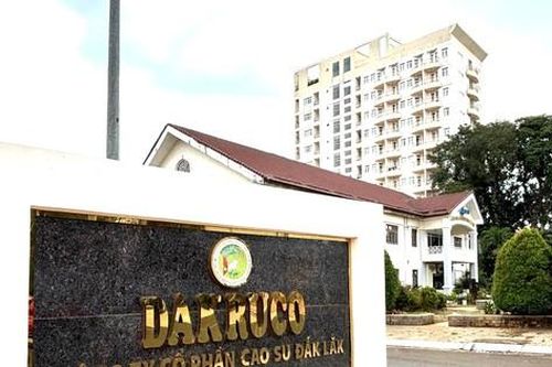 Truy tìm nguyên Tổng Giám đốc Công ty du lịch Bản Đôn
