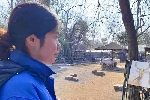 Nữ thạc sĩ Cambridge xin vào sở thú dọn phân, trông coi động vật gây tranh cãi