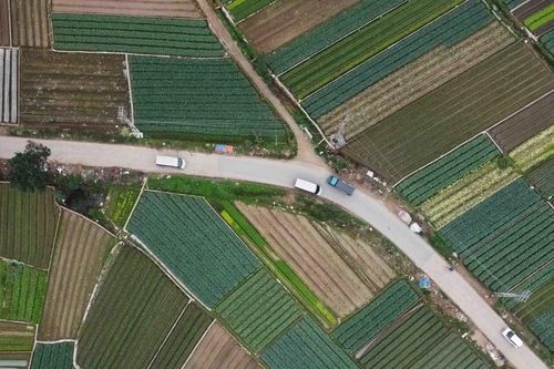 Hà Nội: Phê duyệt chủ trương đầu tư 10 dự án hạ tầng đất dịch vụ tại Mê Linh