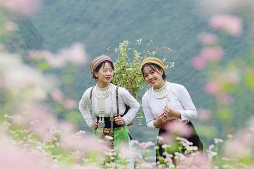 Du lịch cộng đồng Hà Giang: Khi văn hóa nội sinh làm 'đòn bẩy' kinh tế